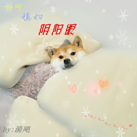 哟呵?媳妇阴阳眼?(GL)